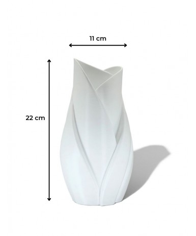 Volute