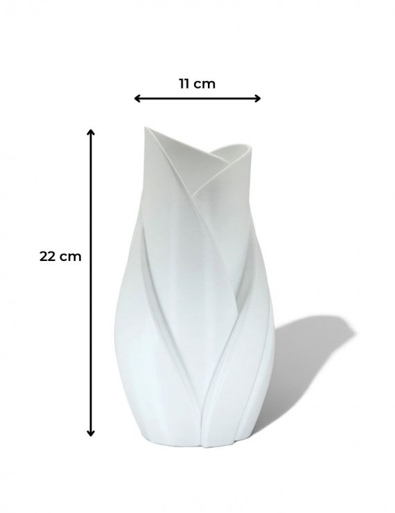 Volute